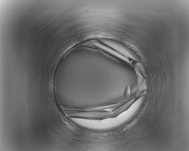 X0000070191073200606232006