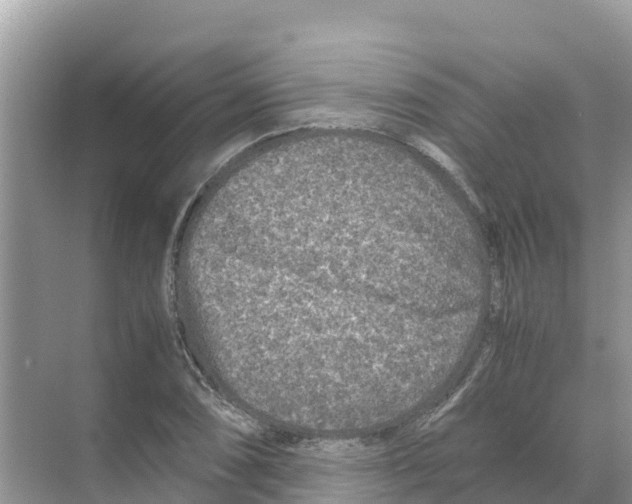 X0000070191074200606232006