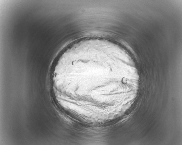 X0000070191075200606232006