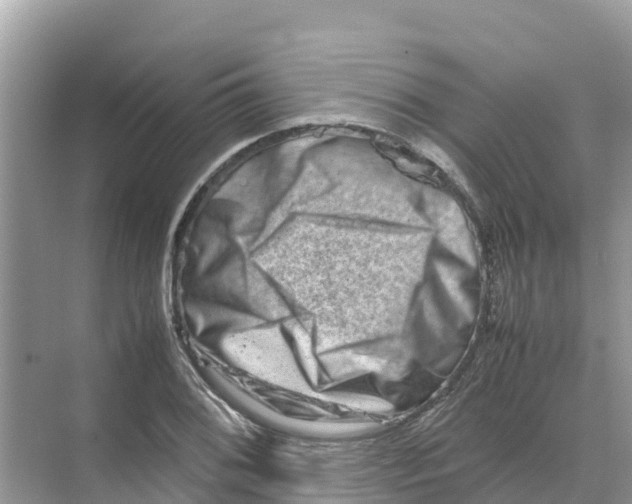 X0000070191076200606232006