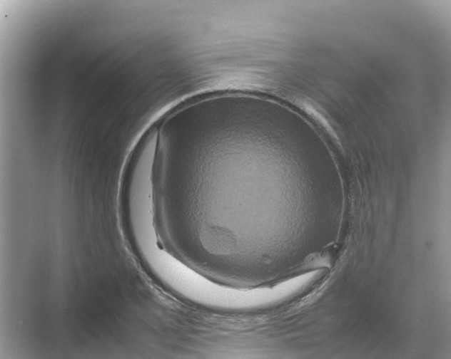 X0000070191077200606232006