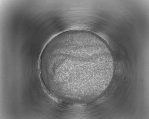 X0000070191078200606232006