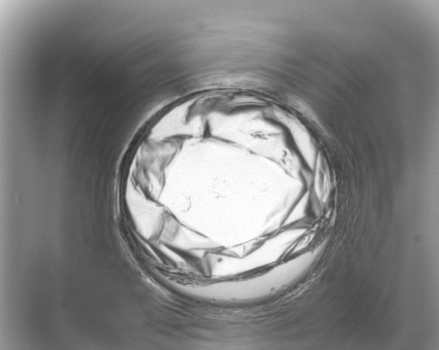 X0000070191079200606232006