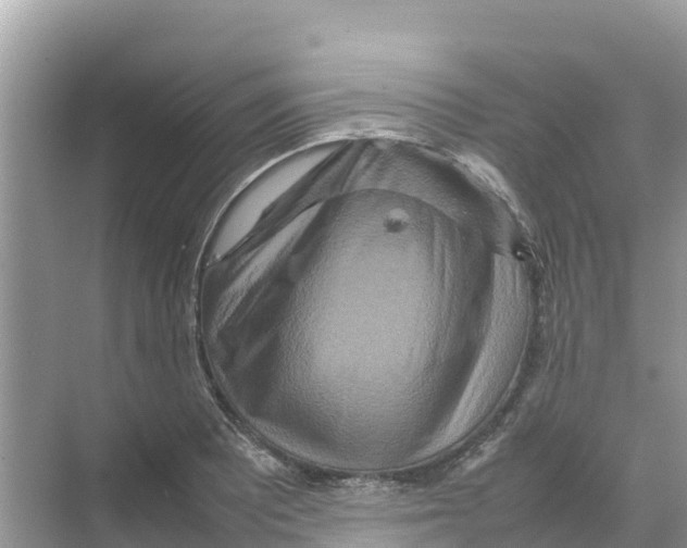 X0000070191081200606232006