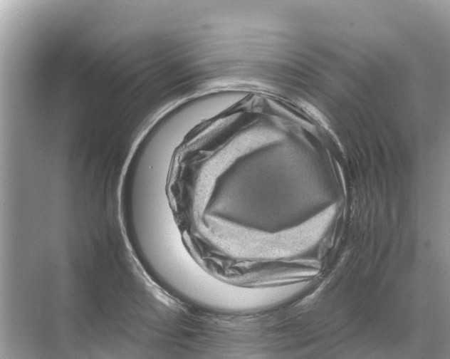 X0000070191082200606232006