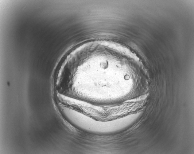 X0000070191083200606232006