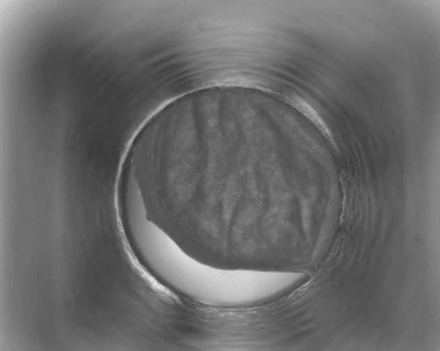 X0000070191084200606232006