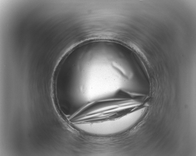 X0000070191085200606232006