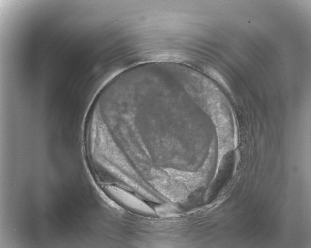 X0000070191087200606232006