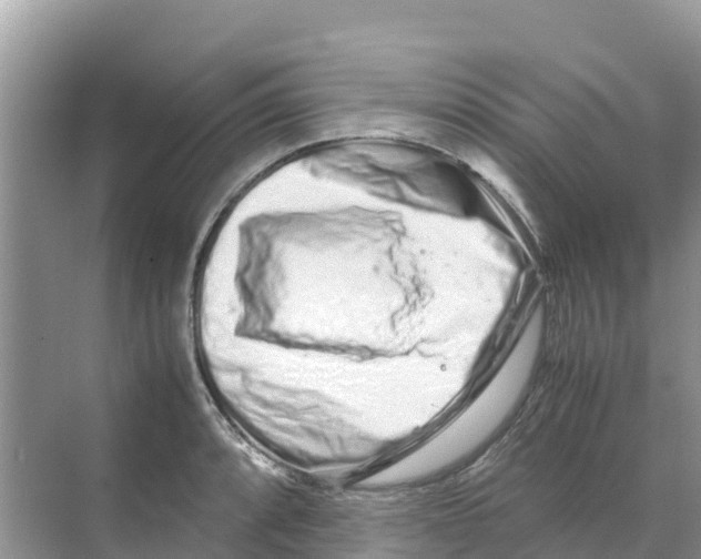 X0000070191088200606232006