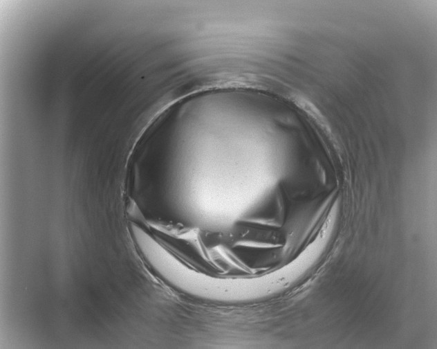 X0000070191089200606232006