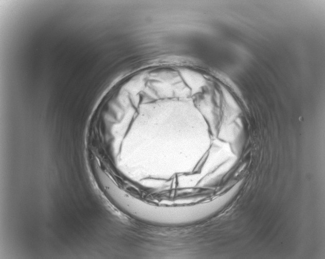 X0000070191091200606232006