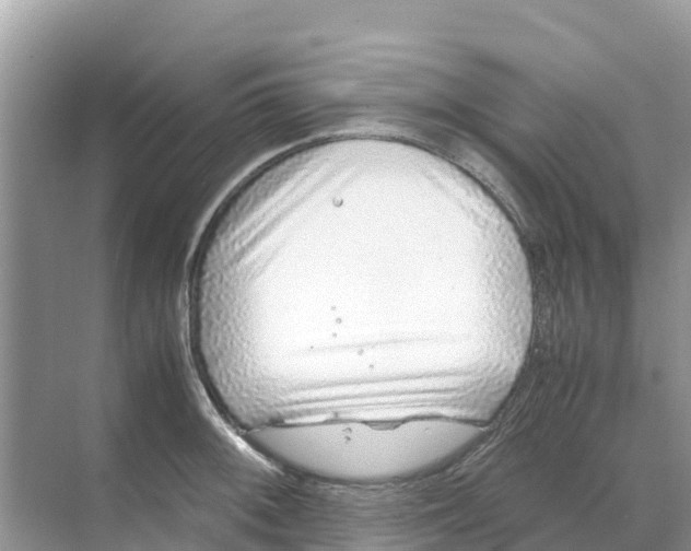 X0000070191092200606232006