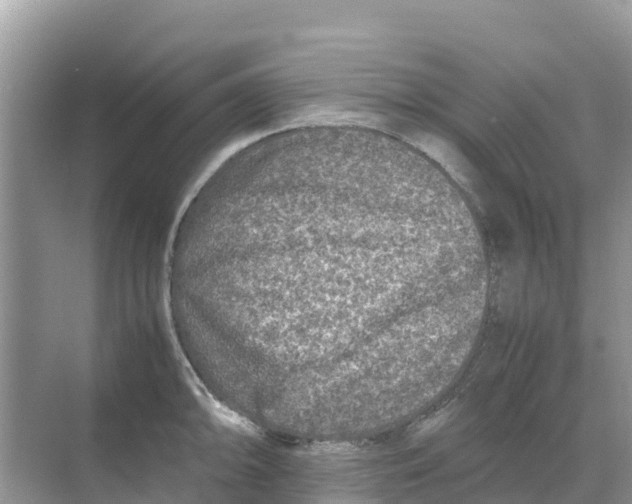 X0000070191094200606232006