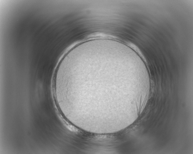 X0000070191098200606232006