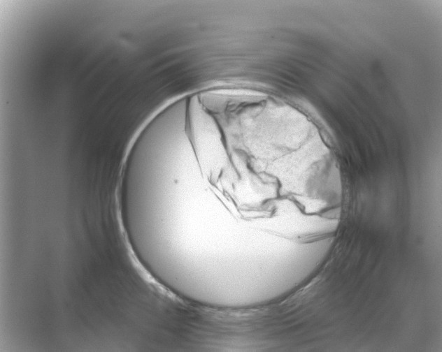 X0000070191100200606232006