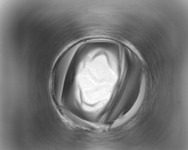 X0000070191101200606232006