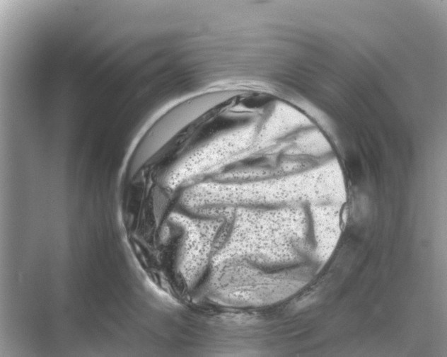 X0000070191102200606232006