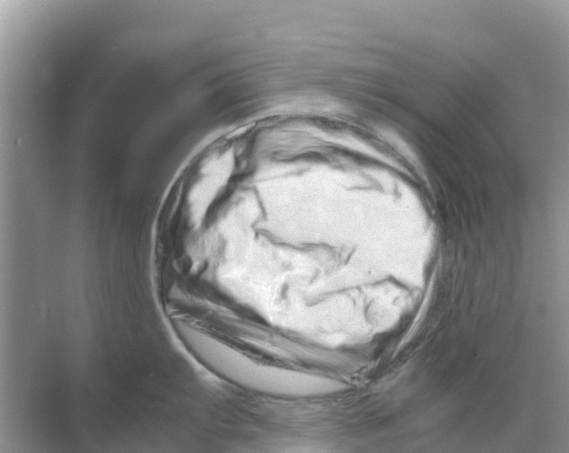 X0000070191103200606232006