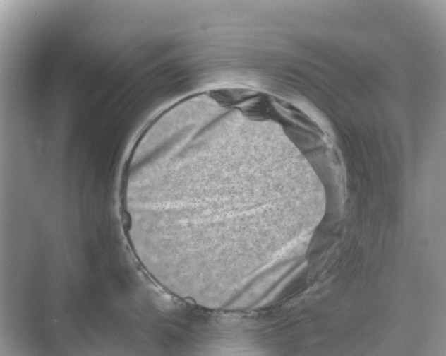 X0000070191104200606232006