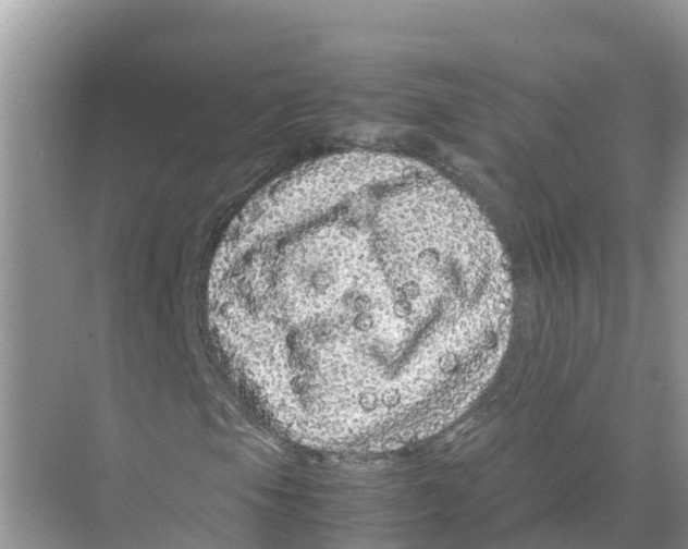 X0000070191105200606232005