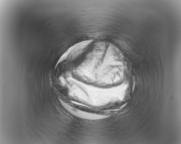 X0000070191106200606232005