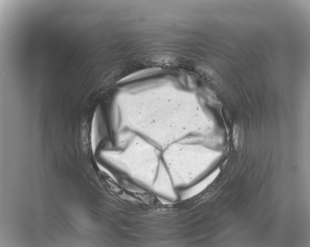 X0000070191107200606232005