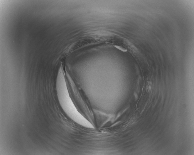 X0000070191108200606232005