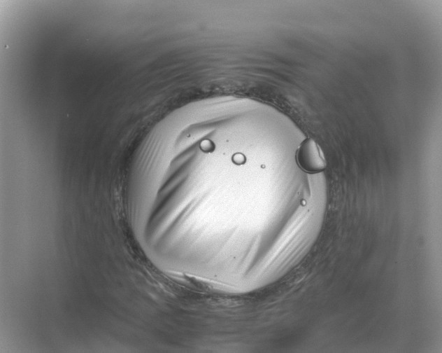 X0000070191109200606232005