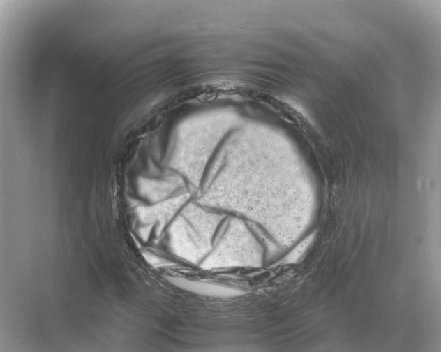 X0000070191111200606232005