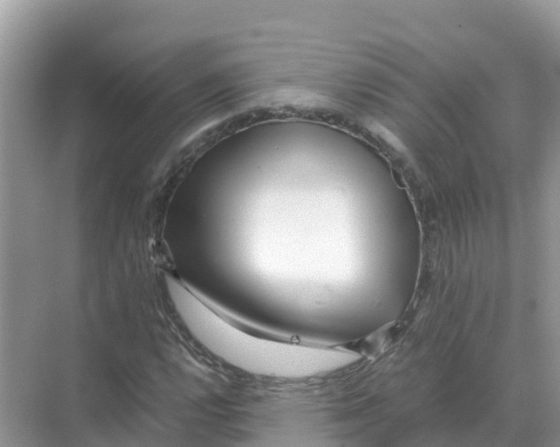 X0000070191112200606232005