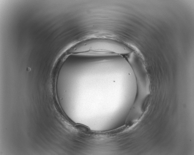 X0000070191114200606232005