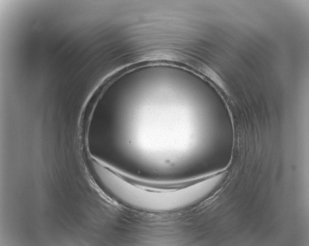 X0000070191116200606232005