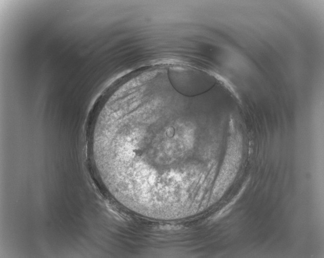 X0000070191117200606232005