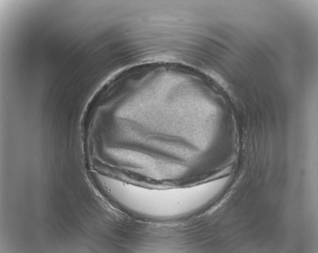 X0000070191118200606232005