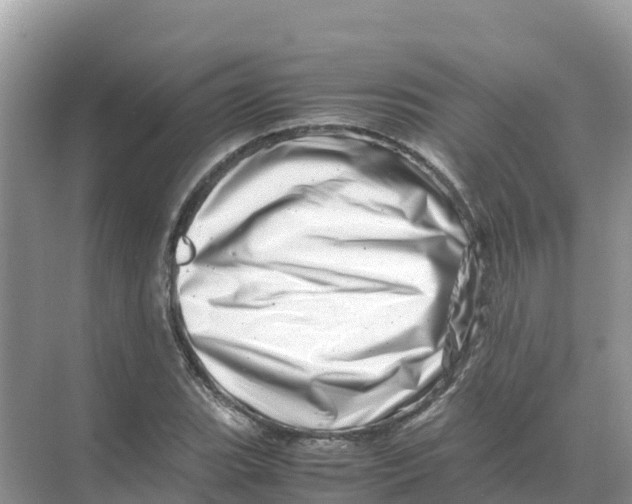 X0000070191119200606232005