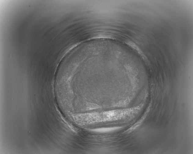 X0000070191121200606232005