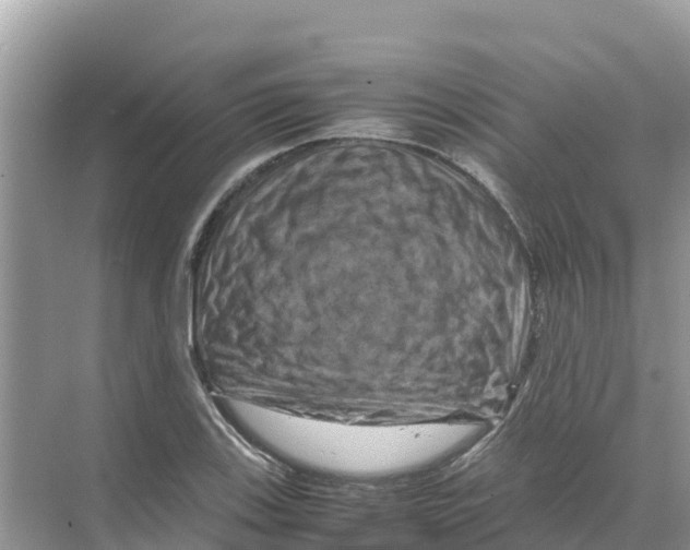 X0000070191123200606232005