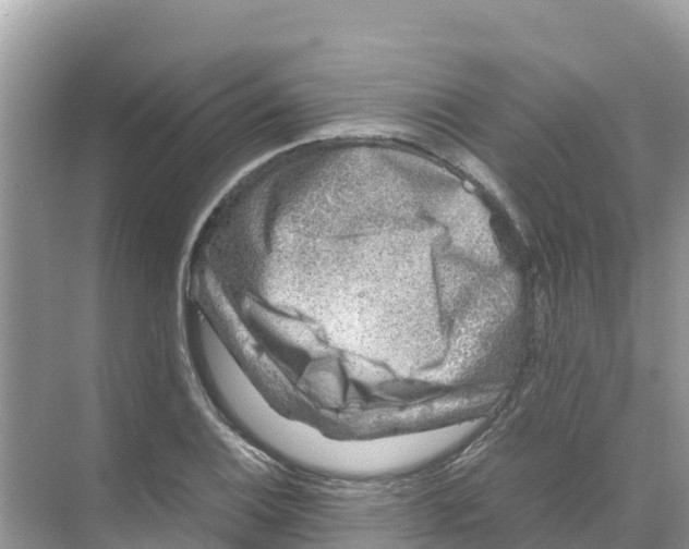 X0000070191124200606232005