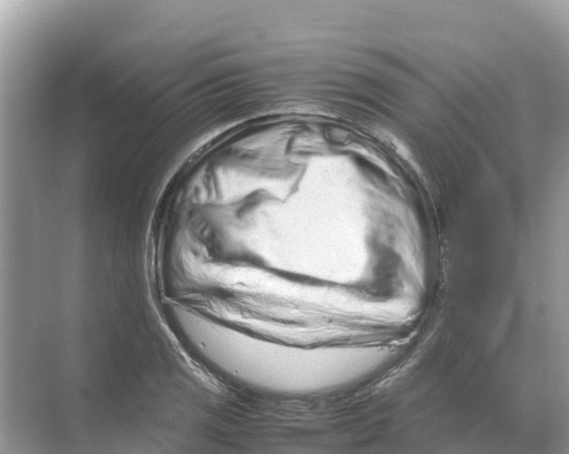 X0000070191125200606232005