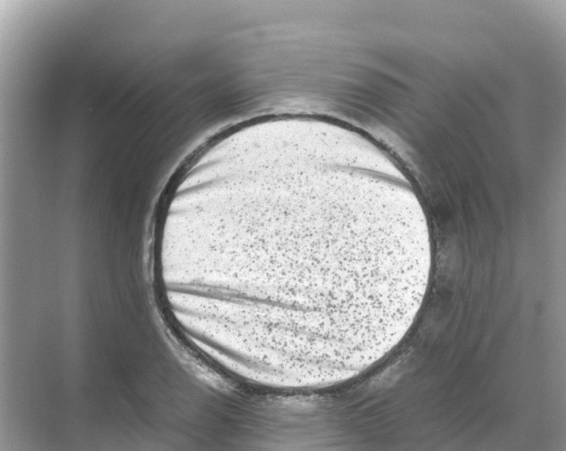 X0000070191126200606232005