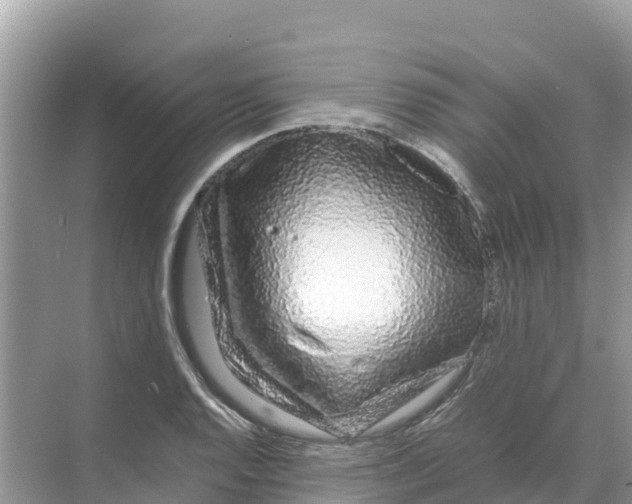 X0000070191128200606232006