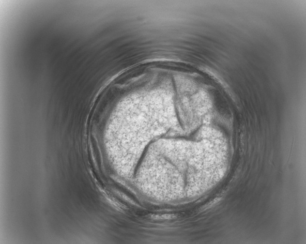 X0000070191129200606232006