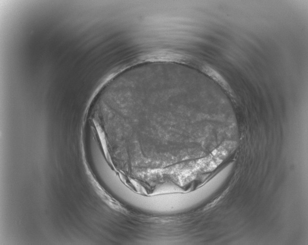 X0000070191130200606232006