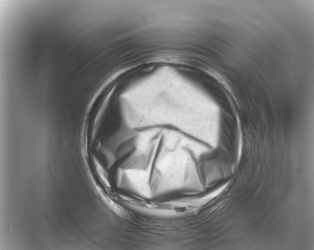 X0000070191131200606232006