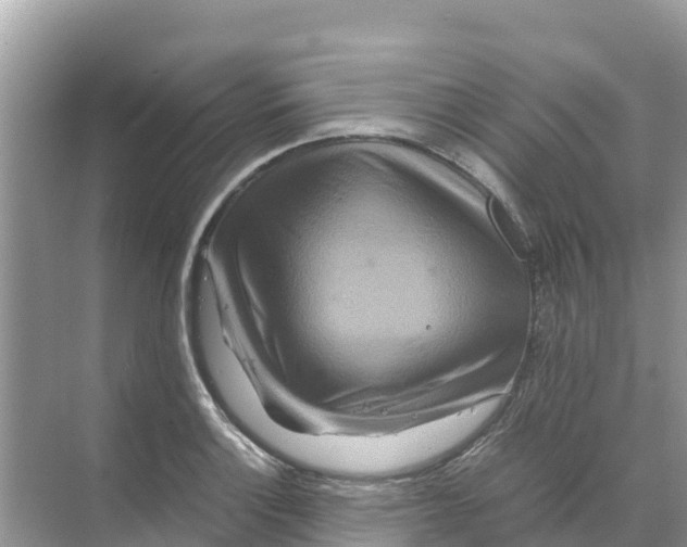 X0000070191132200606232006