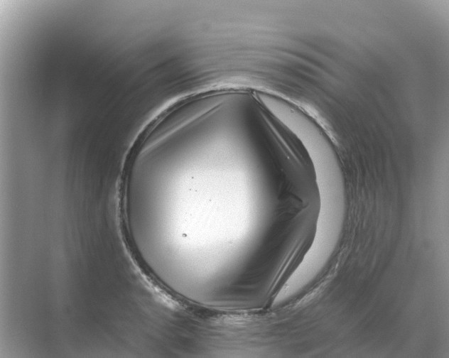 X0000070191134200606232006