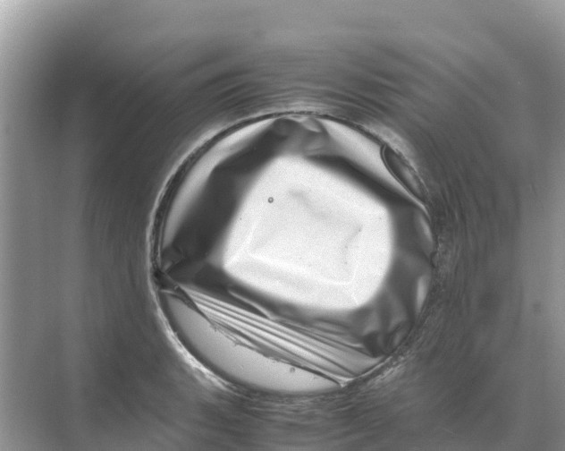 X0000070191135200606232006