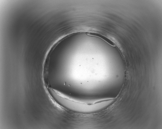 X0000070191136200606232006