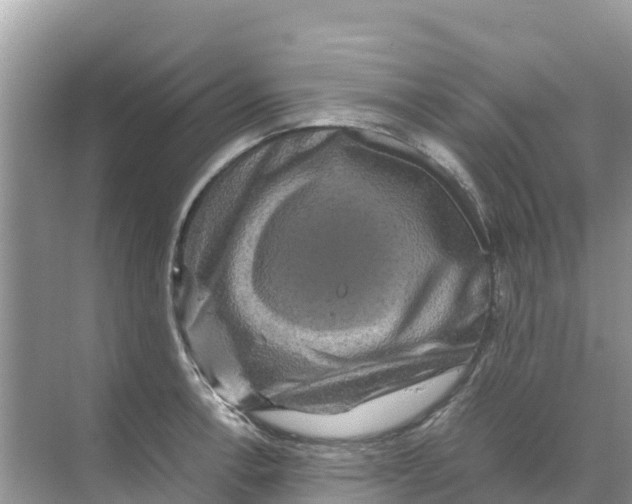 X0000070191138200606232006